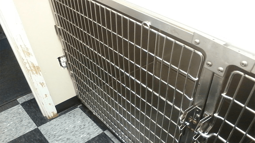 Isolation Ward at Lakes Region