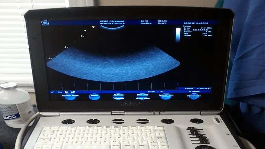 Advanced Care in Laconia, NH | VCA Lakes Region Veterinary ... — Cardiology clinic in Laconia, NH — photo 3