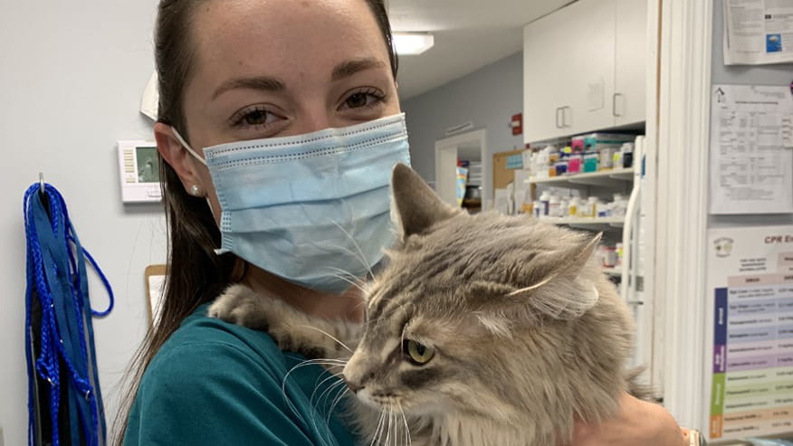 Riverside Cat Boarding