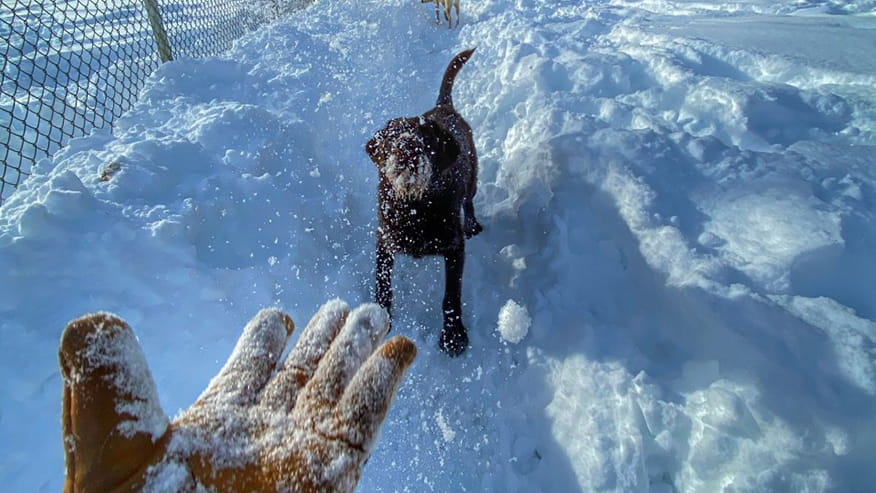 Riverside Climate Controlled Boarding