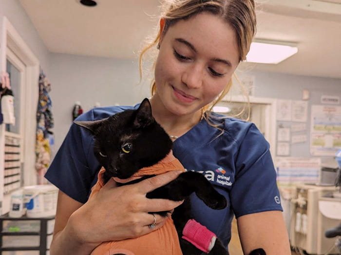 Tabitha N. Staff Photo