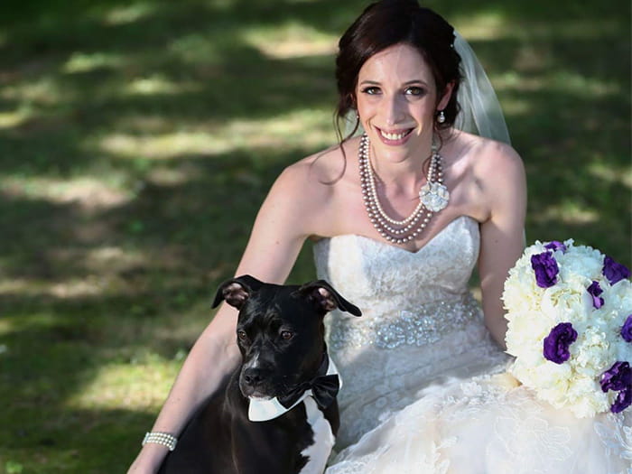 Allenwood Animal Hospital Staff Page