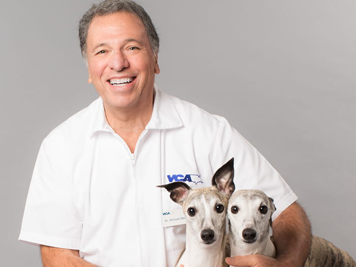 Closter Animal Hospital Staff Page