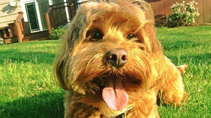 Cooper's Court Community Partners Photo