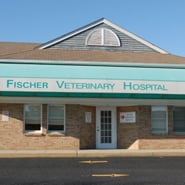 /-/media/2/vca/images/hospitals/united-states/new-jersey/fischer/galleries/185x185_fischer_map_ourhospital.ashx