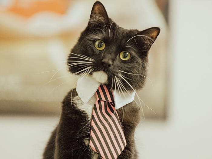 Leroy Marcel Staff Photo