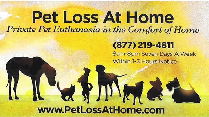 Pet Loss at Home
