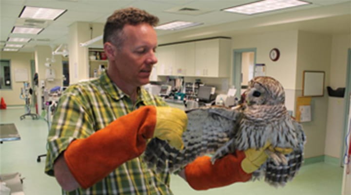 720x400 ballston spa northcountry