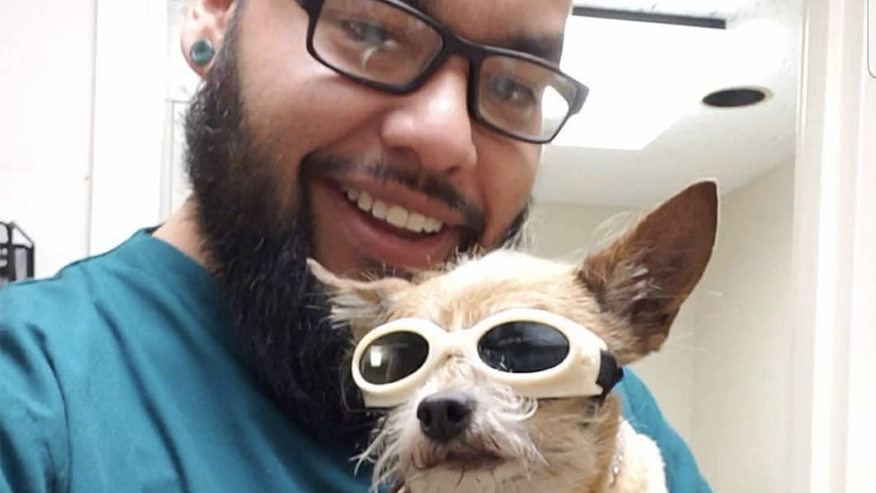 Cold Laser Therapy at VCA Bond Animal Hospital