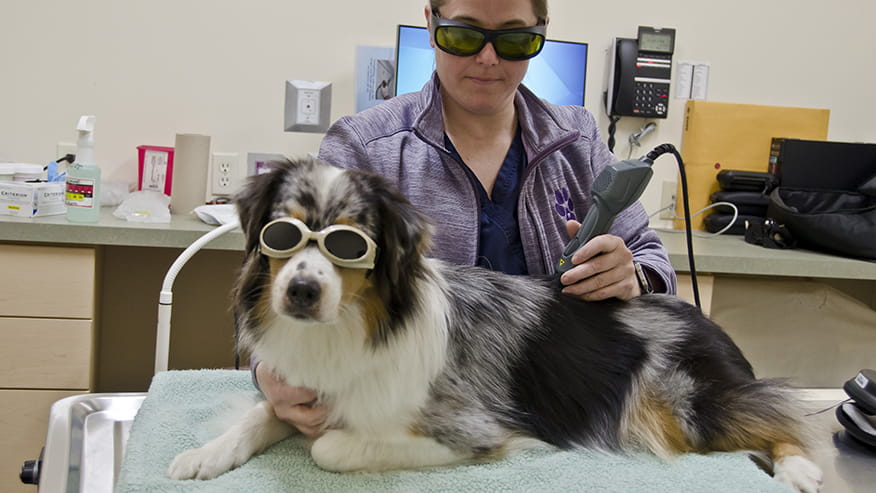 876x493 colonial Services LaserTherapy