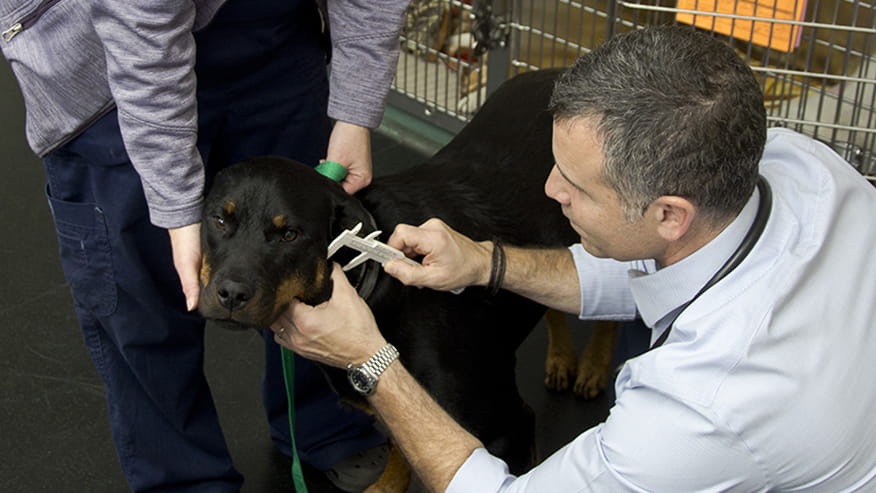 876x493 colonial Services Oncology