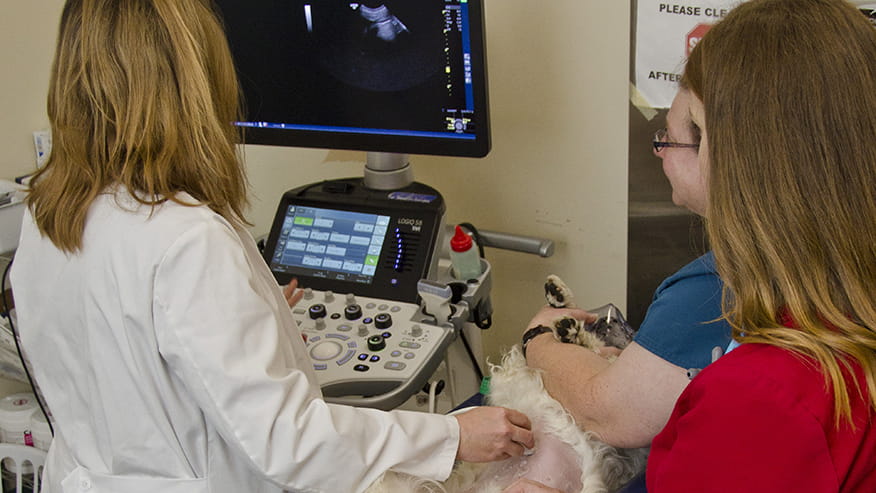 876x493 colonial Services Ultrasound2