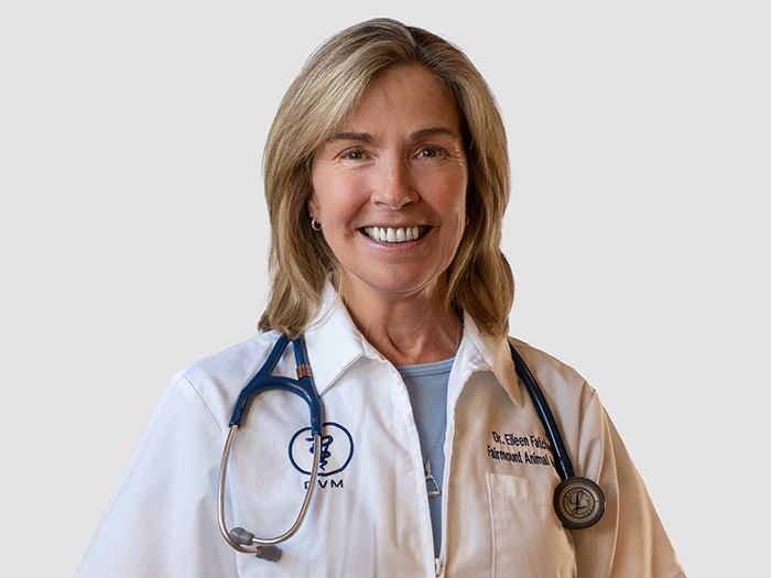 Dr. Eileen Fatcheric
