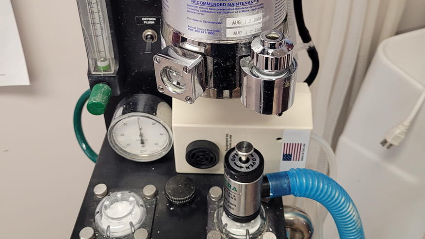 Anesthesia at VCA Hamilton