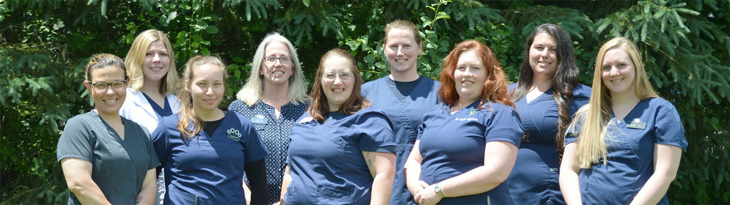 /-/media/2/vca/images/hospitals/united-states/new-york/hamilton/staff/1440x405_hamilton_team.jpg?rev=14f147a290dd4be39f0edeab94bd6148