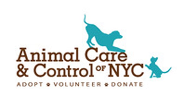 Animal Care and Control of NYC