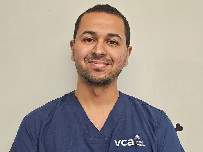 Dr. Joseph Farid Staff Photo