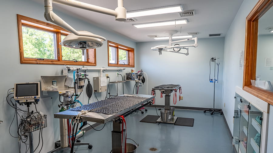 VCA New Hartford Animal Hospital sterile surgery suite