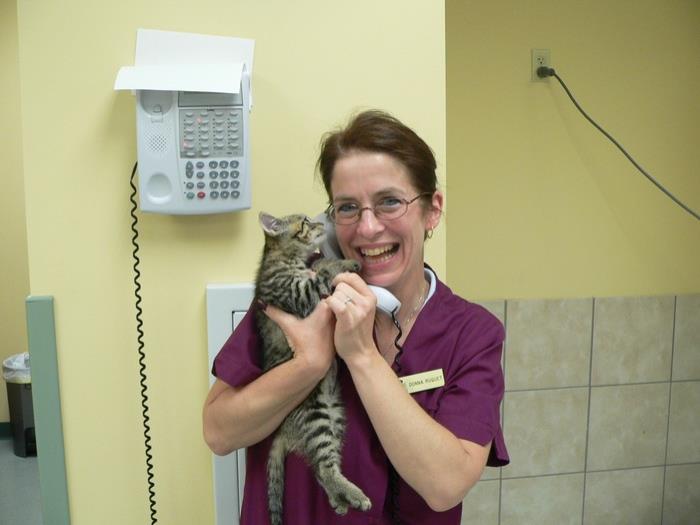VCA Orange County Veterinary Hospital | Staff Page