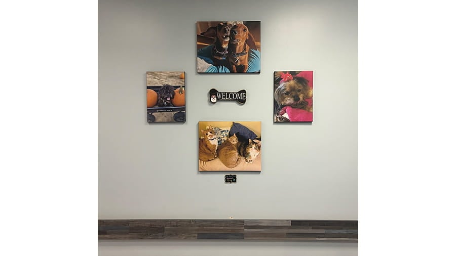 VCA Southgate Animal Hospital Lobby
