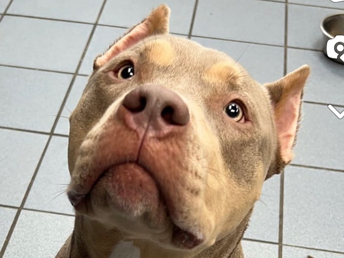 Brittany Staff Photo