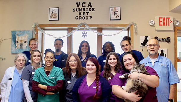 VCA Sunrise Veterinary Group Team