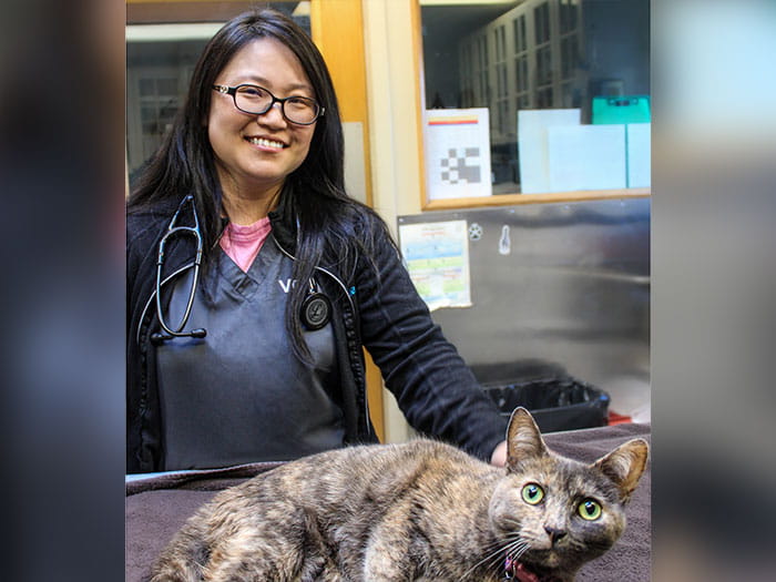 Dr. Wenjun Li Staff Photo