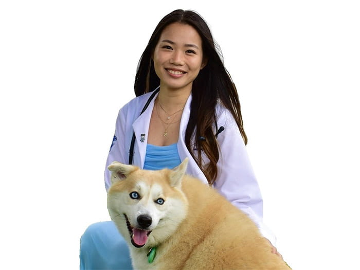 Dr. Ning Chan Staff Photo