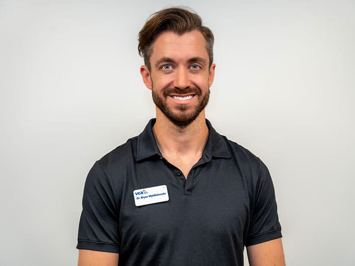 VCA Sawmill Animal Hospital | Staff Page