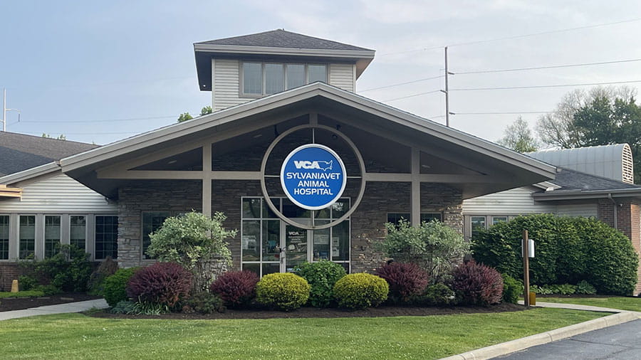 /-/media/2/vca/images/hospitals/united-states/ohio/sylvaniavet/galleries/900x506_sylvaniavet_hospital.jpg?rev=430ec64492cf4f02b52bbebd1fcc4ef1