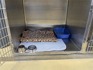 VCA SylvaniaVET Animal Hospital Cat Boarding Large Kennel