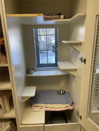 VCA SylvaniaVET Animal Hospital Cat Boarding Cat Condo