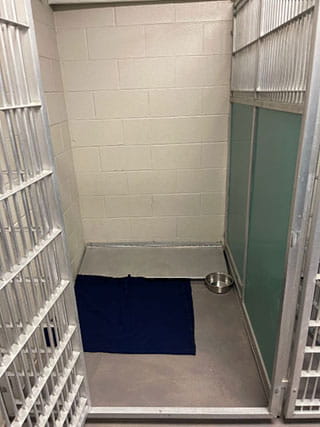 VCA SylvaniaVET Animal Hospital Dog Boarding Queen Run