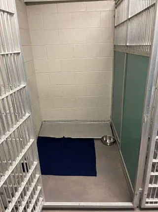 VCA SylvaniaVET Animal Hospital Dog Boarding Queen Run