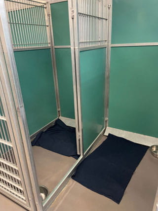 VCA SylvaniaVET Animal Hospital Dog Boarding King Run