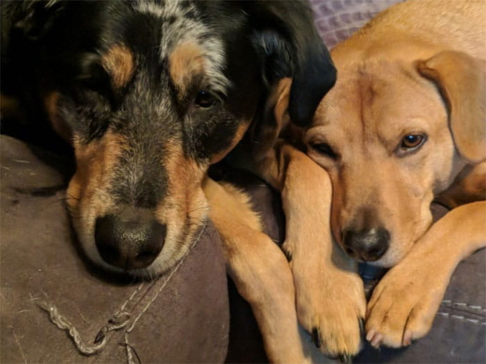 Cassandra F. Staff Photo