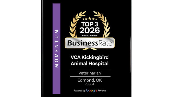VCA Kickingbird Animal Hospital BusinessRate Top 3 Veterinarian Google Award