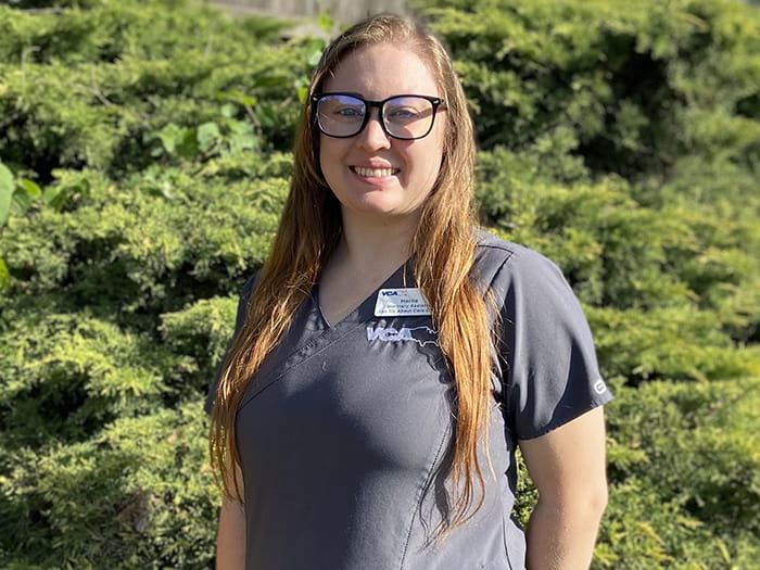 VCA Kickingbird Animal Hospital Staff Page