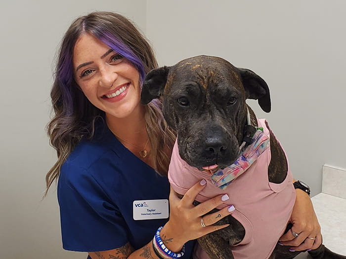 Taylor Numbers Staff Photo