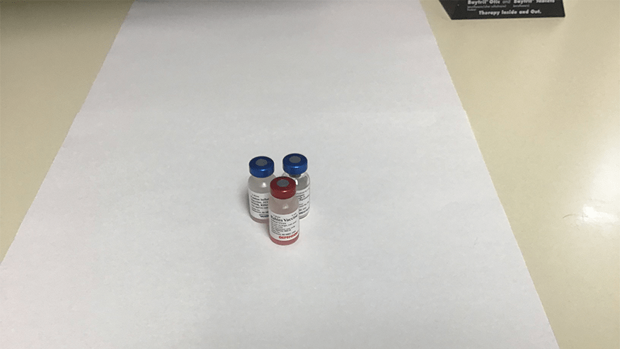 876x493 woodland broken arrow ReducedCostVaccine