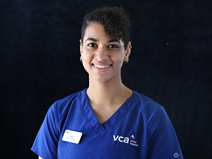 Sheva Vatannia Staff Photo