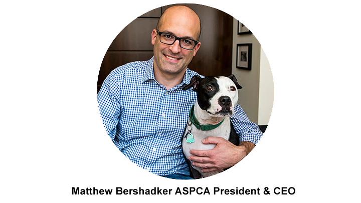Matthew Bershadker ASPCA President & CEO