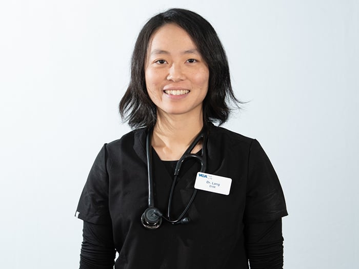 Dr. HaoYuan Lang Staff Photo