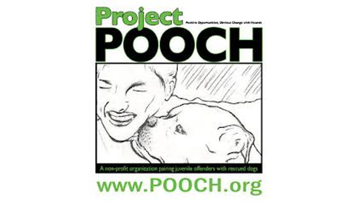 Project Pooch