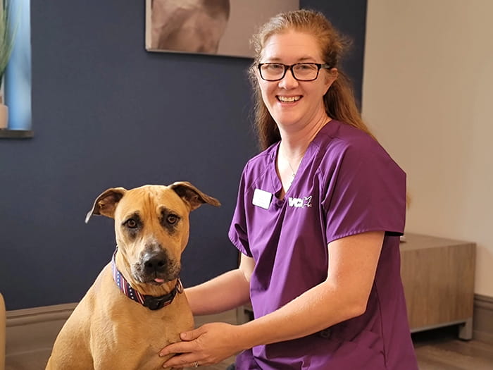 VCA AVH Animal Hospital Staff Page