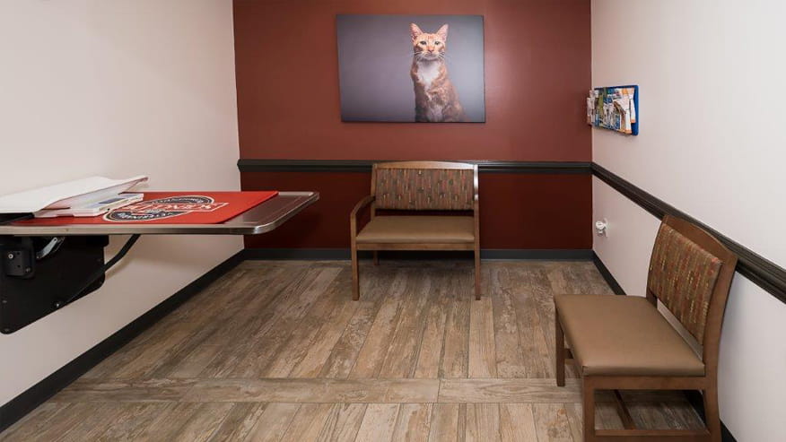 VCA Delaware Valley Exam Room