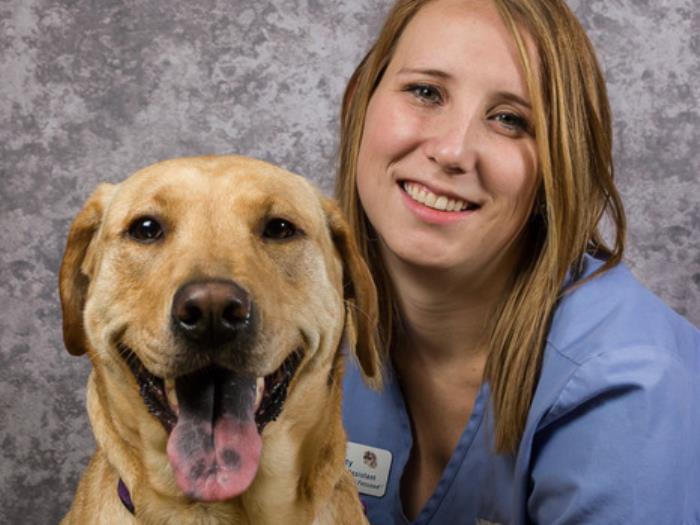 Katy P. | VCA Chiquita Animal Hospital