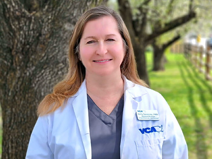 Dr. Kelly Sweeney Staff Photo