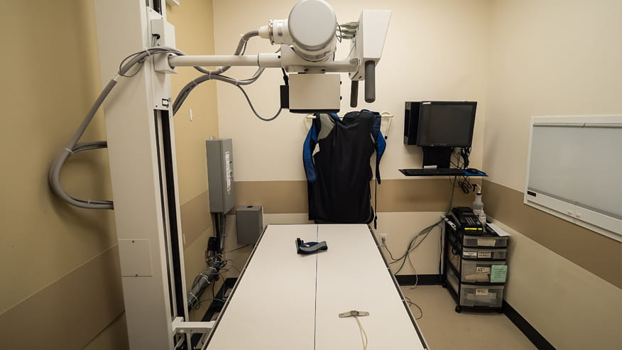 VCA Old Marple Animal Hospital Radiology