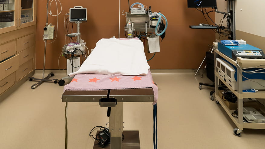 VCA Old Marple Animal Hospital Surgery